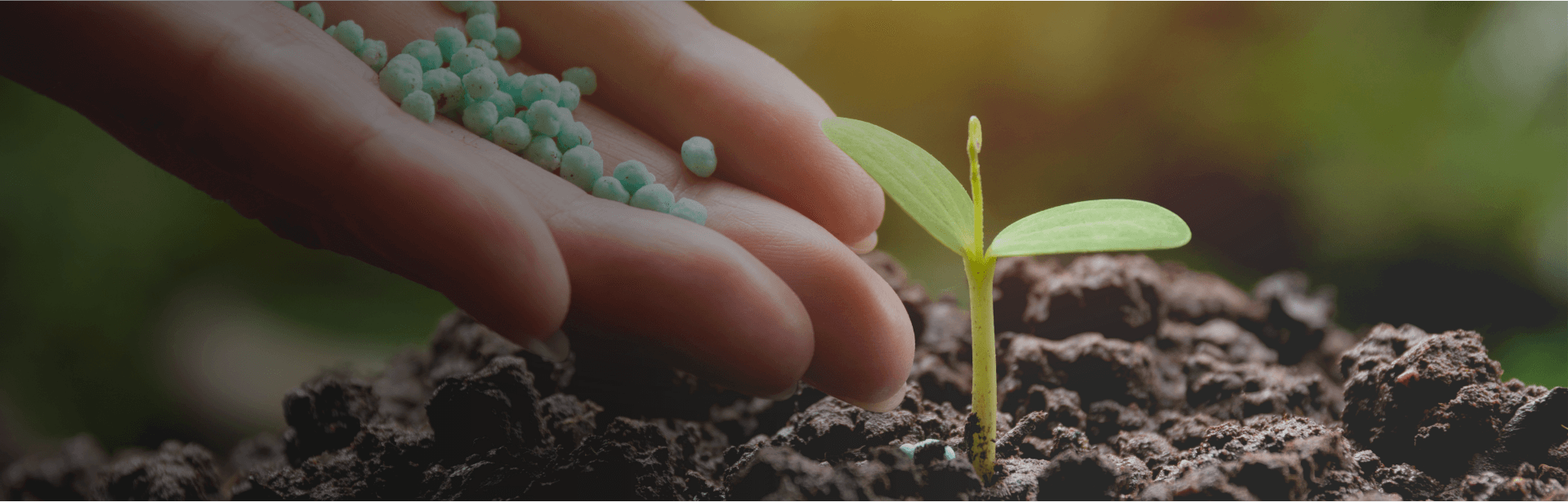 Anticaking Agents | Miihir Chemosol