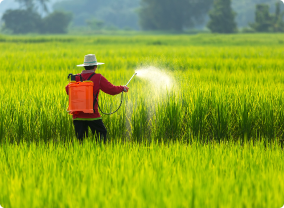 https://miihirchemosol.com/Indian soil organic carbon content fell from 1% to 0.3% in 70 years